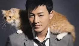 林峰近期爆料新闻报道内容,娱乐圈背后的真实故事